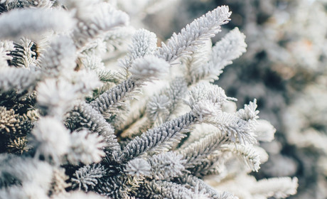 Морози до −25 і потепління: якою буде погода на Сватівщині на Водохреща — прогноз з 18 по 24 січня