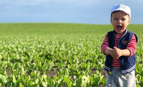 Європа на полях агропідприємства «Дзвін» – у новітній техніці та високоврожайних гібридах (+ відео)