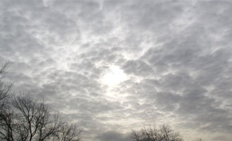 Погода у Старокостянтинові на 27 січня - 2 лютого: буде тепло та переважатиме хмарність