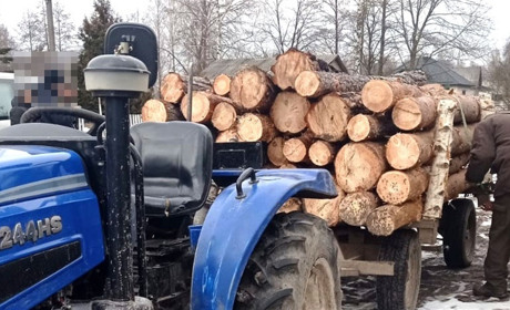 Перевозили нелегальну деревину: в Сарненському районі спіймали п’ятьох порушників