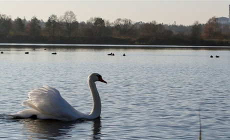 Радіаційний стан навколо Хмельницької АЕС за минулий тиждень