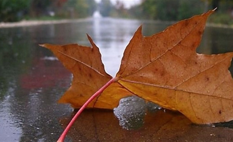 Погода у Старокостянтинові на 6-12 жовтня: дощі не відступлять до середини жовтня