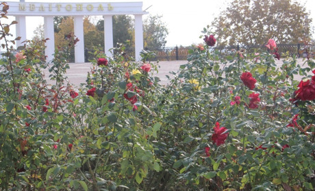 Пазли від Мелітополь.Сіty «Моє улюблене місто у жовтні»
