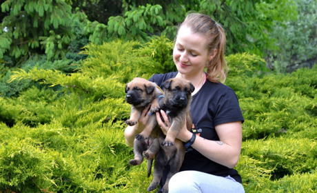 Полжизни с собаками