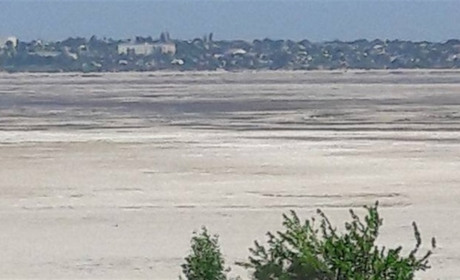 Не буде ні кавунів, ні кабачків, ні помідорів