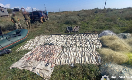 На Одещині браконьєри наловили риби на 1,4 млн гривень. Сітки, човен та улов у них вилучили