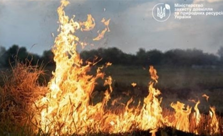 За підпал сухої трави та листя загрожує адміністративна та кримінальна відповідальність