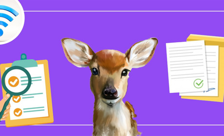 Все про електронні петиції в Сарнах: як скористатись сервісом, щоб твоє звернення підтримали