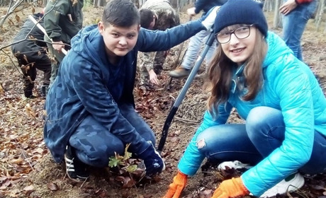 Шкільне лісництво із Підмихайля здобуло перемогу у конкурсі «Ліси для нащадків»