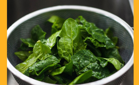 Щоб їсти зелений борщ взимку: перевірені рецепти заготівлі щавлю