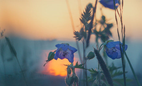 Спека відступила: Якою буде погода у Сватовому і районі з 8 по 14 липня