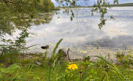 Погода у Старокостянтинові на 26 травня-1 червня: температурні контрасти та дощі