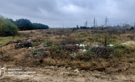 У Сарненській громаді виявили стихійні сміттєзвалища — порушників оштрафували