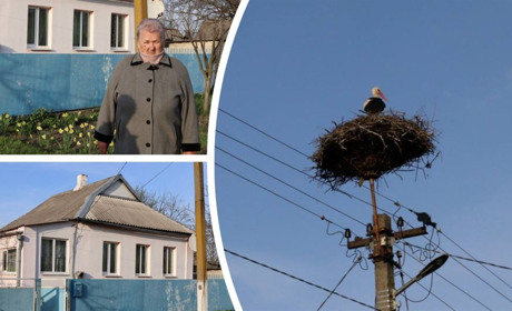 На Лугову в Петропавлівці повернулася пара лелек, які щороку приносять спогади та кохання