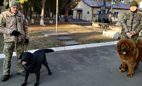 Служба в армії, а комфорт, як вдома: як проходять будні військових у Сарнах