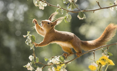 Початок тижня прийде до нас із теплом: очікуємо до +17