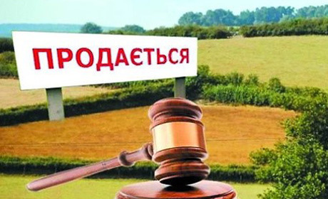 Верховна Рада відкрила ринок землі 