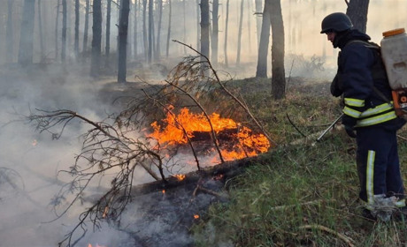 Дві лісові пожежі виникли в Куп’янському районі через обстріли 14 квітня