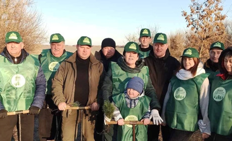 На Сватівщині висадили 2500 саджанців сосни і дуба: де вони ростимуть