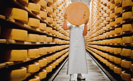 Тест: какой вы знаток сыров и получится ли из вас сыровар?