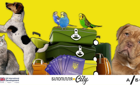 Евакуація з тваринами: як підготувати улюбленця до переїзду