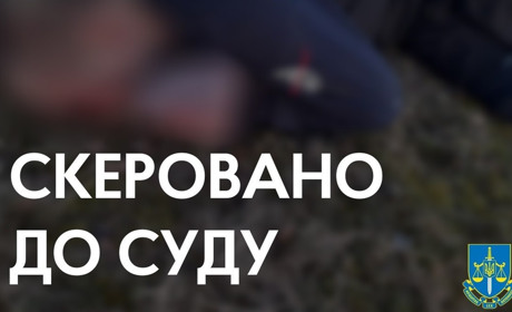 Молодиків з села Борове судитимуть за умисне вбивство