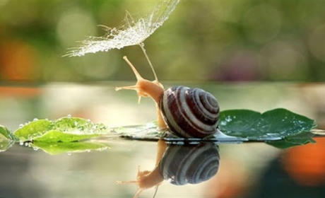 Якою буде погода на Білопільщині в перші дні літа?