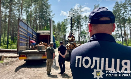 Звягельські поліцейські передали ЗСУ деревину, вилучену у порушників