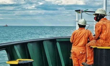 Коли українські моряки знову зможуть виїжджати за кордон на роботу: яка доля законопроєкту