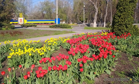 Багато тепла і високі градуси: якою буде погода на Золотоніщині на початку травня