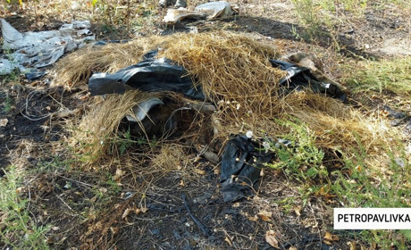 У Петропавлівці та Самарському карантин через спалах африканської чуми свиней
