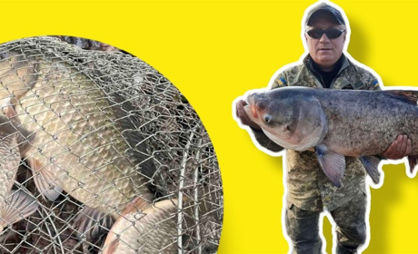 Риболовля у Жовтих Водах: де можна піймати трофейного сома вагою 29 кг