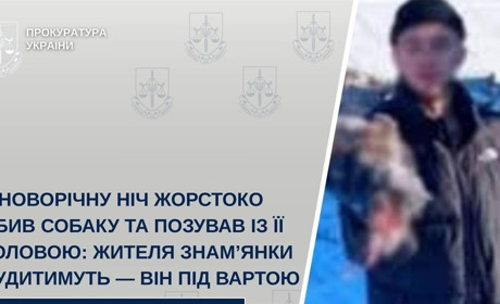 У новорічну ніч убив собаку та виклав фото в соцмережах: у Знам’янці судитимуть 19-річного чоловіка