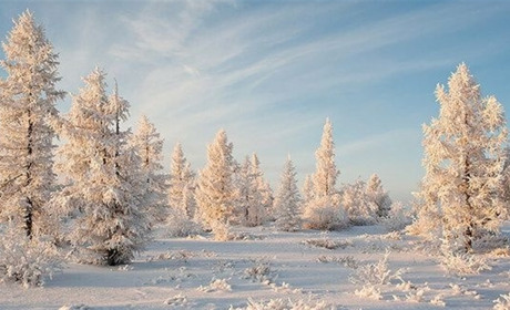 Грудень – ворота зими, ніч року