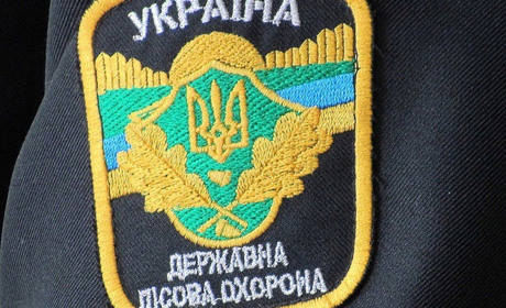У Вараському районі лісокради побили майстра лісу, бо він їм перешкоджав красти