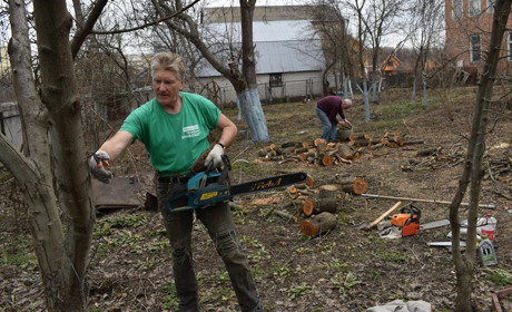 Як правильно обрізати плодові дерева? Поради фахівця