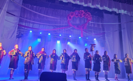 Центр культурних послуг у Неполоковецькій громаді ділиться досвідом із громадами з інших областей