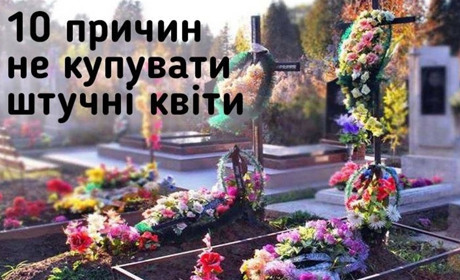 Є 100 500 причин не купувати пластикові квіти: поговоримо про 10-ть