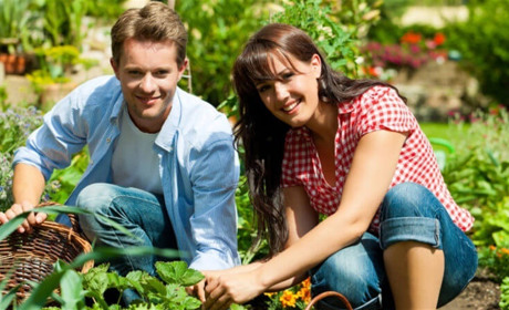 Корисні лайфхаки для дачників, садівників та городників Білопільщини