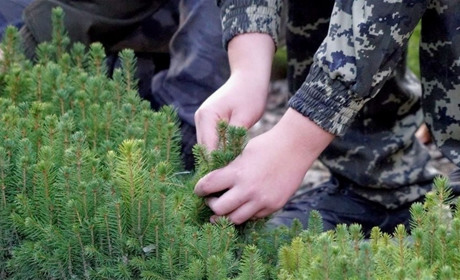 Об’єднання лісгоспів у Рахові та районі: кому варто чекати звільнень