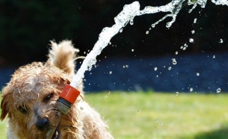 Безпечне літо: поради, як поліпшити самопочуття в спекотну погоду