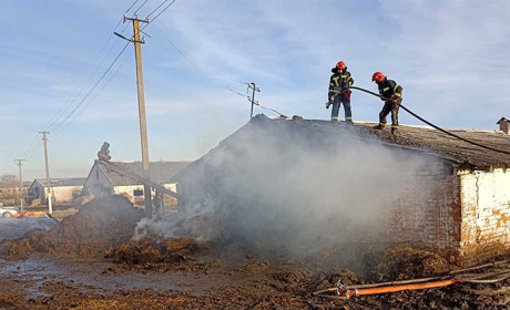 Пожежа в селі Землянка на Кагарличчині: горів свинарник