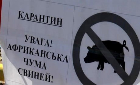 Одним карантином не обійшлося: тепер в селі ще й карантин по африканській чумі свиней додали