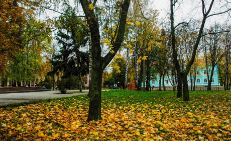 Дощі та "аномальний" холод: яку осінь прогнозують українські синоптики