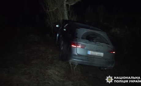 На Сарненщині Audi в’їхала в дерево: постраждали троє пасажирів