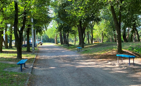 Фотофакт: в міському парку почали ремонтувати лавки