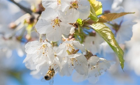 Календар державних та професійних свят на травень 2024