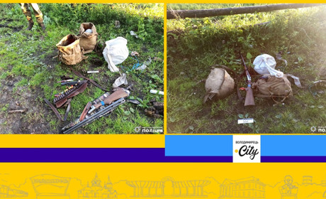 У Сопачівському лісництві затримали браконьєра з м'ясом вбитого лося