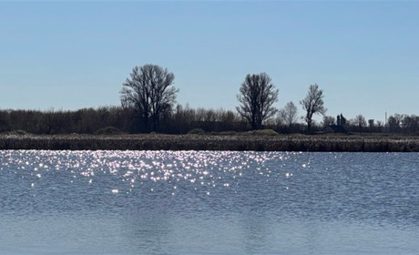 Погода у Старокостянтинові на 13-19 квітня: теплий і сонячний тиждень — коли чекати дощу