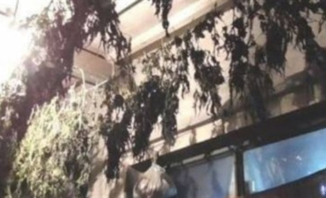На Пологівщині: у пенсіонерки знайшли наркотики